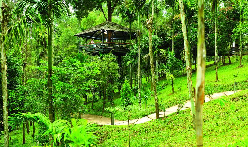 The Woods Resorts Wayanad Sultan Bathery Esterno foto