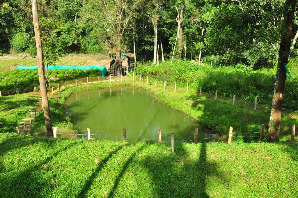 The Woods Resorts Wayanad Sultan Bathery Esterno foto