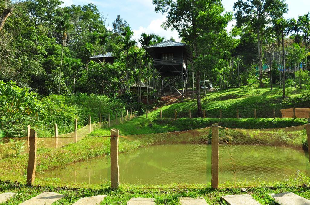 The Woods Resorts Wayanad Sultan Bathery Esterno foto