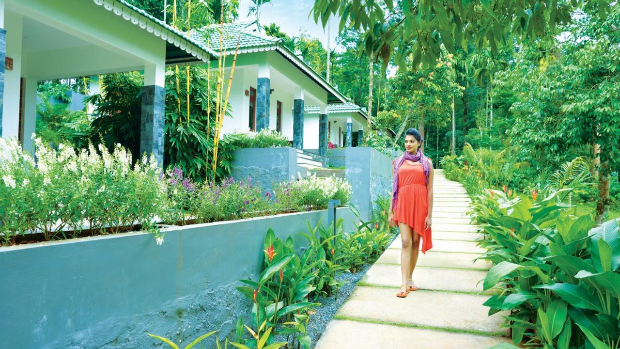 The Woods Resorts Wayanad Sultan Bathery Esterno foto