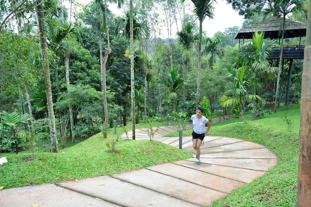 The Woods Resorts Wayanad Sultan Bathery Esterno foto