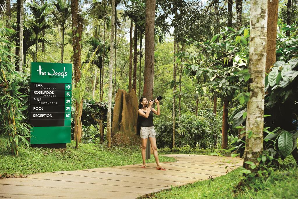 The Woods Resorts Wayanad Sultan Bathery Esterno foto