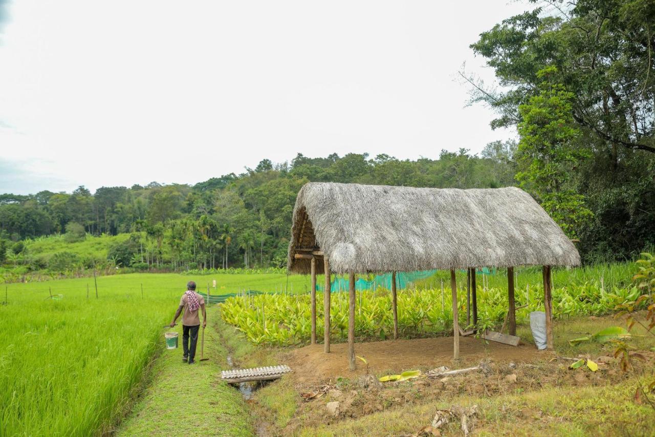 The Woods Resorts Wayanad Sultan Bathery Esterno foto
