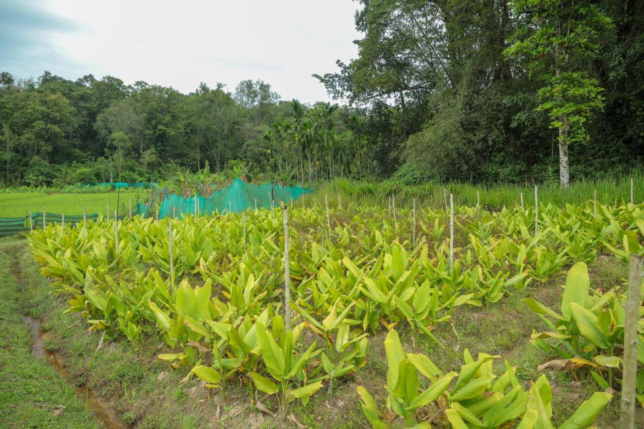The Woods Resorts Wayanad Sultan Bathery Esterno foto